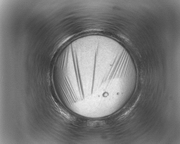 X0000053151113200508081403