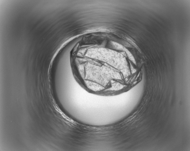 X0000053151116200508081403