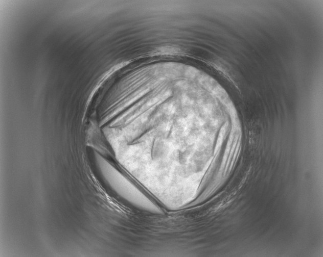 X0000053151117200508081403