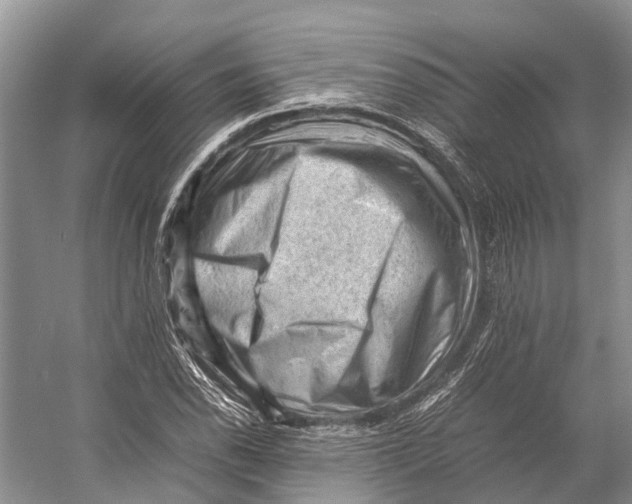 X0000053151118200508081403