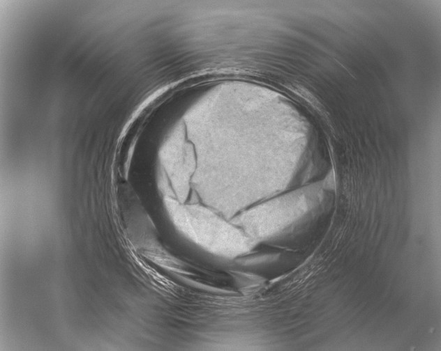 X0000053151120200508081403