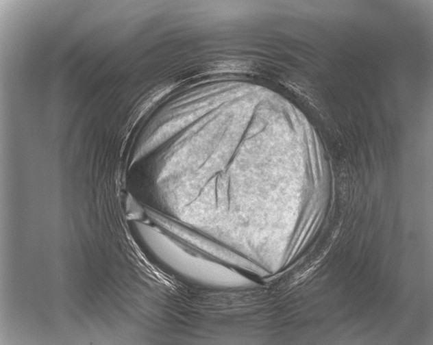 X0000053151121200508081403