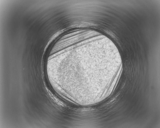 X0000053151122200508081403