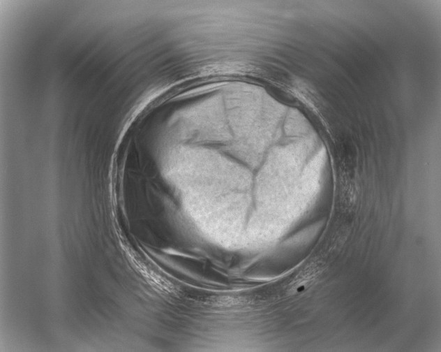 X0000053151124200508081403