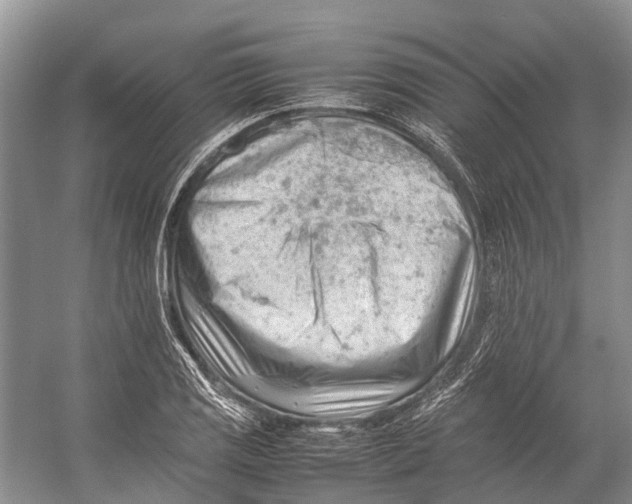 X0000053151125200508081403