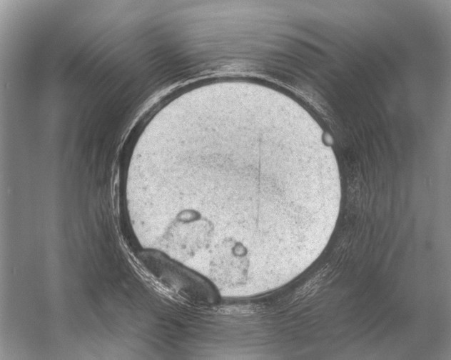 X0000053151126200508081403