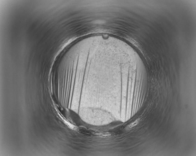 X0000053151127200508081403