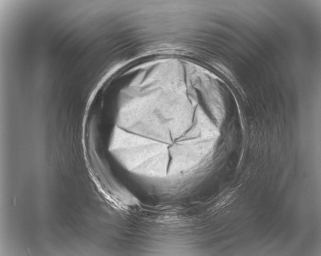 X0000053151128200508081403