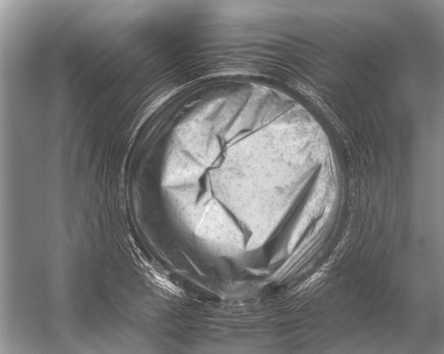 X0000053151129200508081403