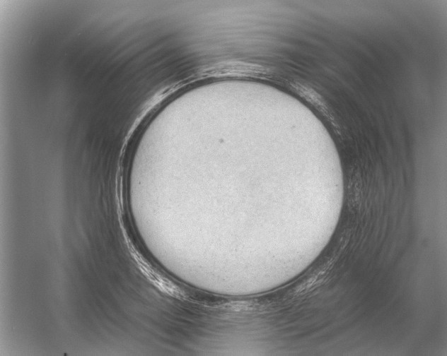 X0000053151130200508081403