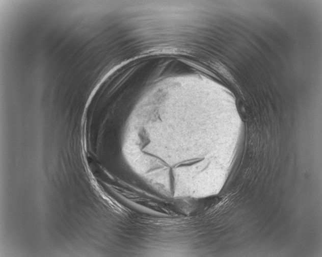 X0000053151132200508081403