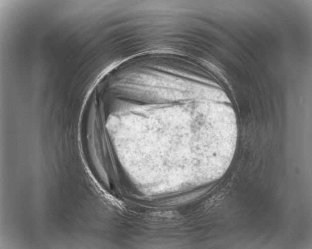 X0000053151133200508081403