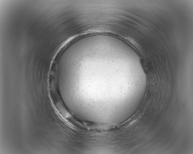 X0000053151134200508081403