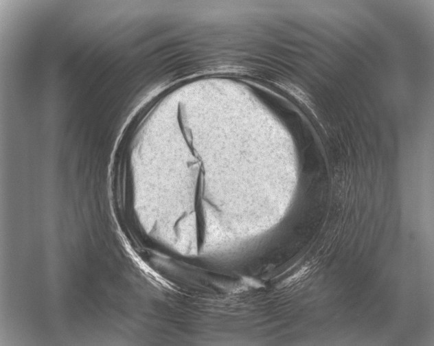 X0000053151135200508081403