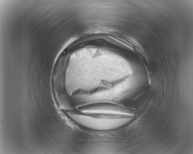 X0000053151138200508081403