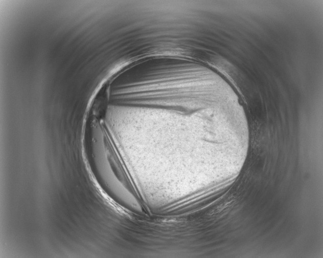 X0000053151139200508081403