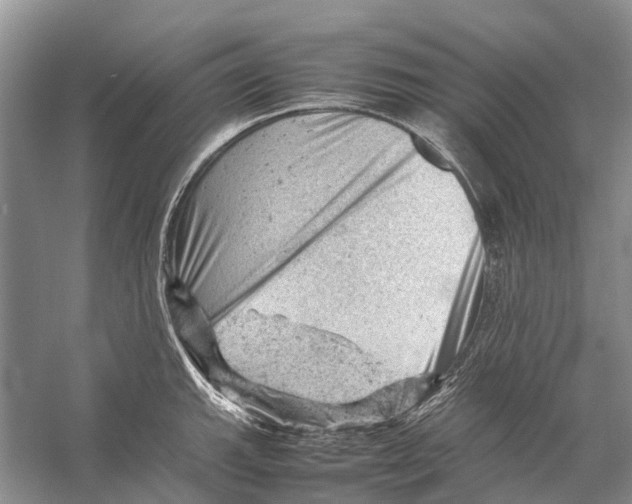 X0000053151143200508081404