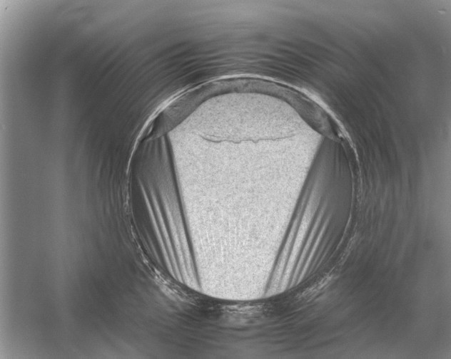 X0000053151145200508081404