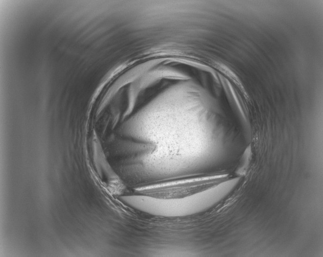 X0000053151146200508081404