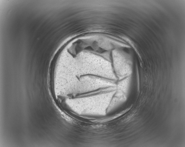 X0000053151147200508081404