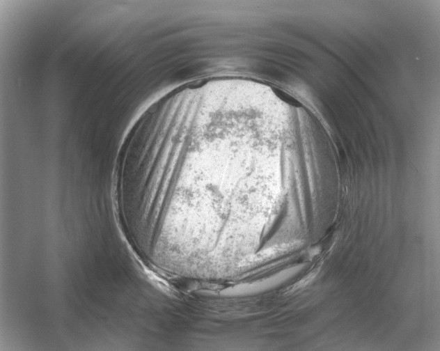 X0000053151149200508081404