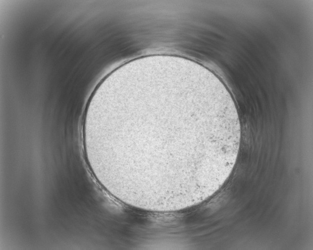 X0000053151150200508081404