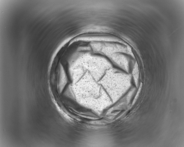 X0000053151152200508081404