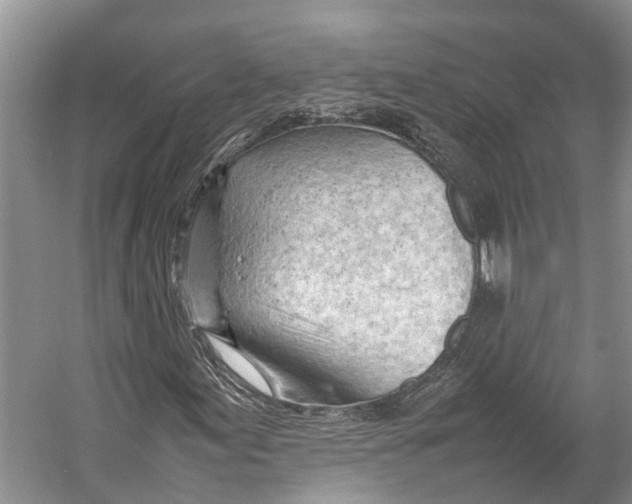 X0000053151155200508081403