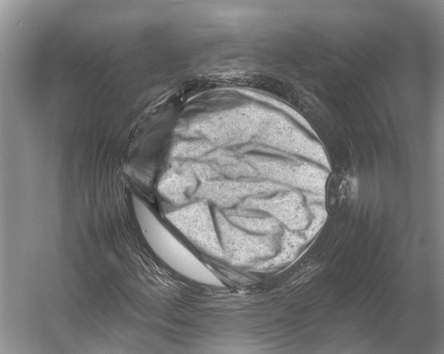 X0000053151156200508081403