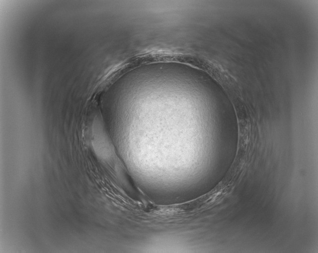 X0000053151157200508081403