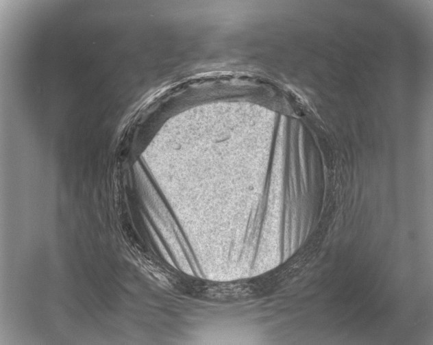 X0000053151159200508081403