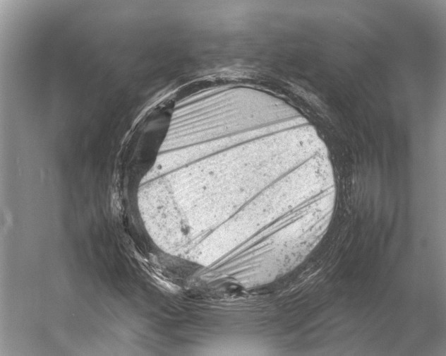 X0000053151160200508081403