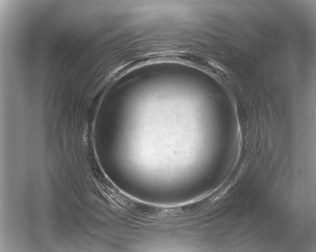 X0000053151161200508081403