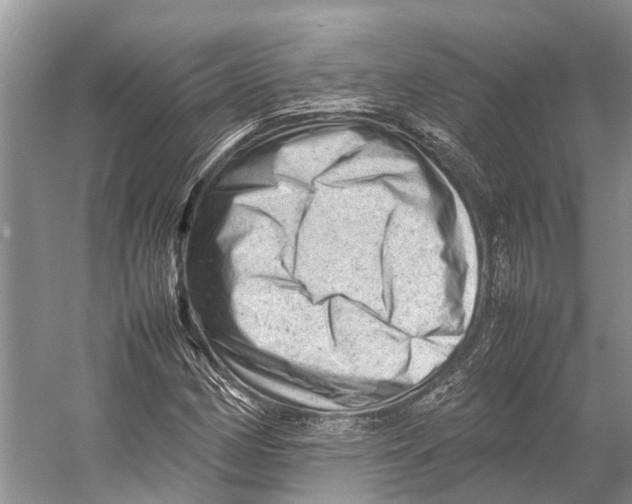 X0000053151162200508081403