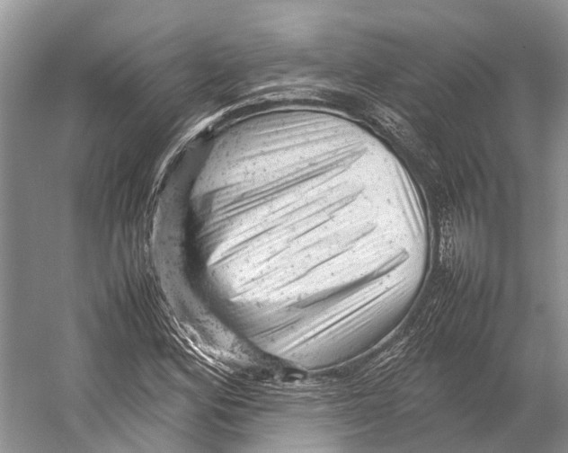 X0000053151164200508081403