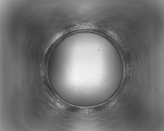 X0000053151165200508081403