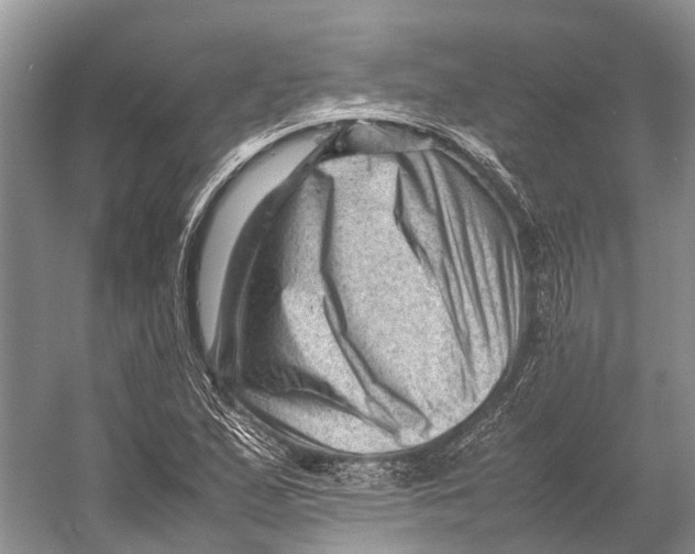 X0000053151167200508081403