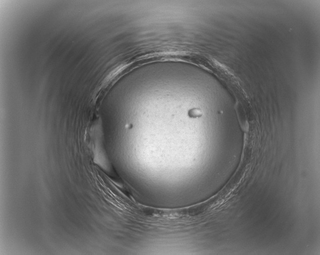 X0000053151169200508081403