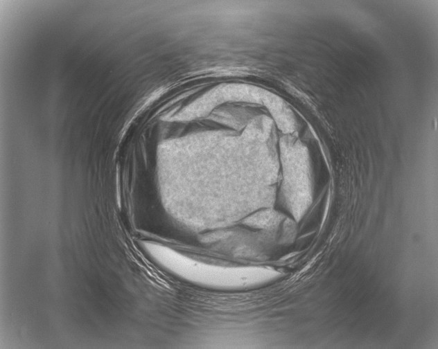 X0000053151171200508081403