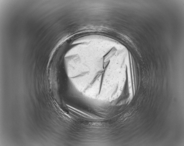 X0000053151172200508081403