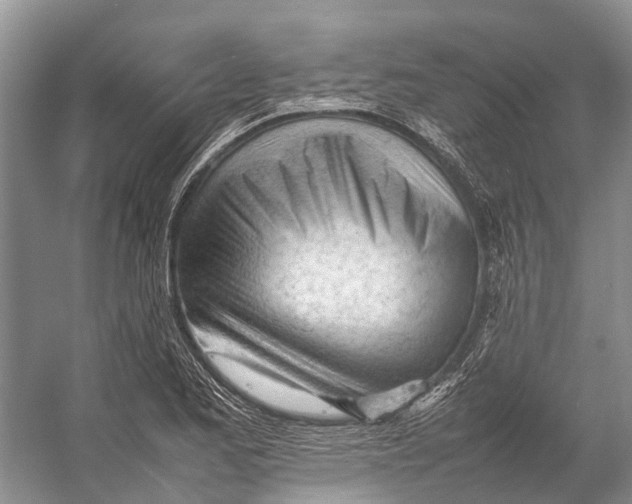 X0000053151173200508081403