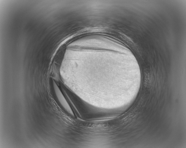 X0000053151174200508081402