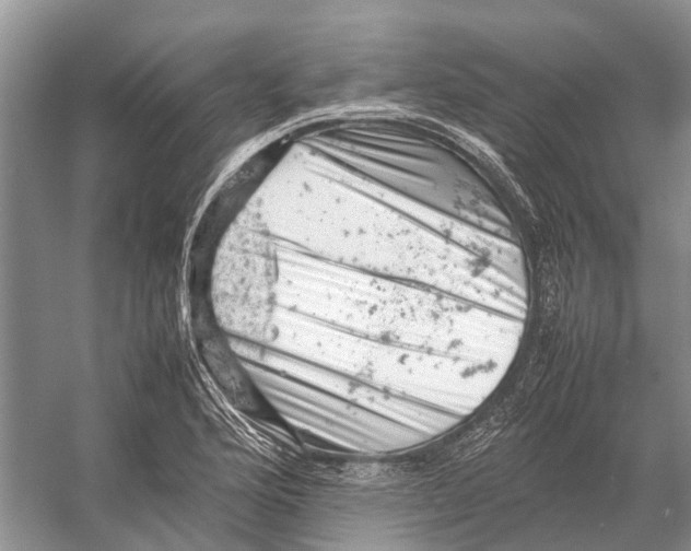 X0000053151176200508081402