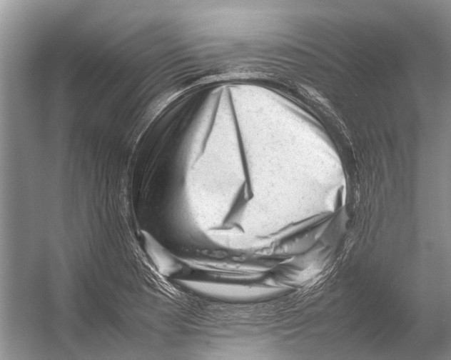 X0000053151177200508081402