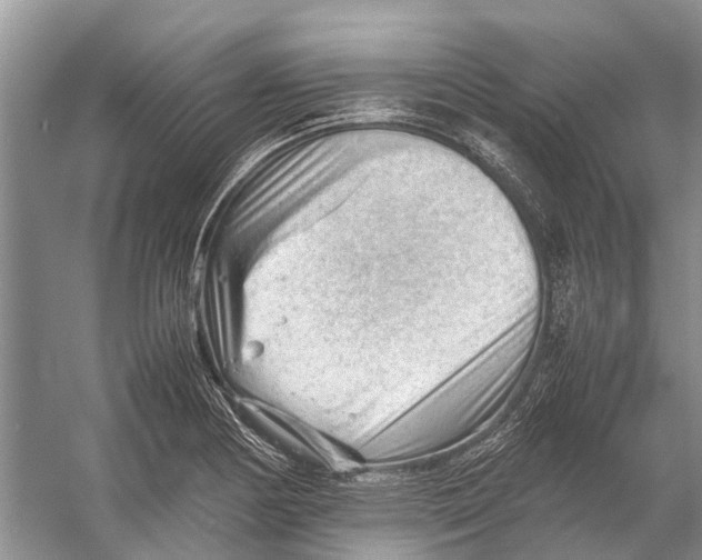 X0000053151178200508081402