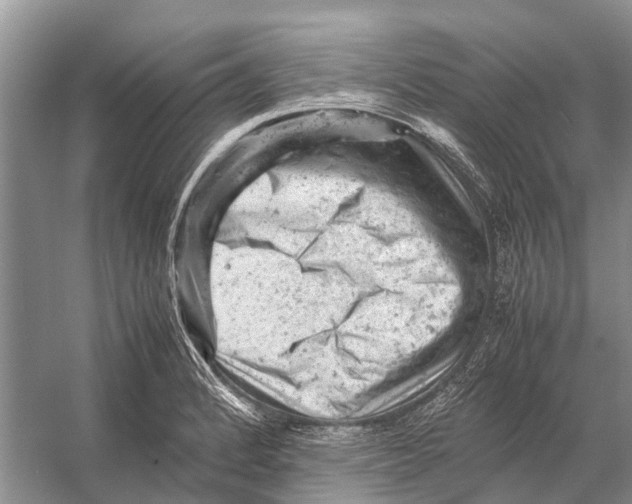 X0000053151184200508081402