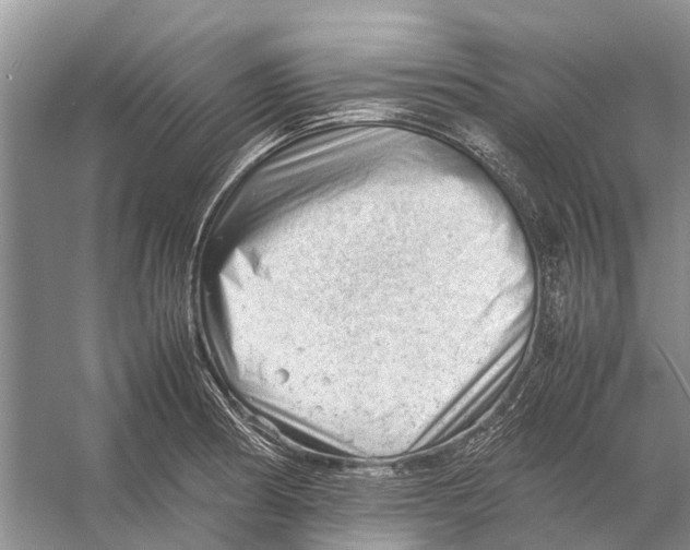 X0000053151186200508081402