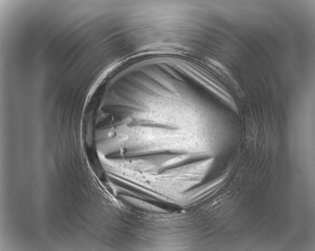 X0000053151188200508081402