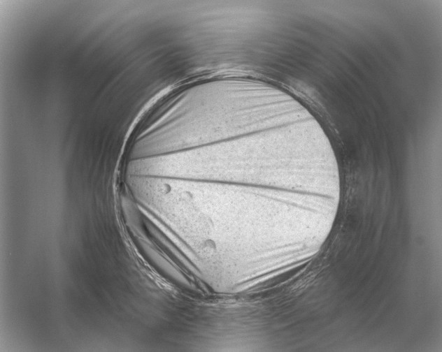 X0000053151190200508081402