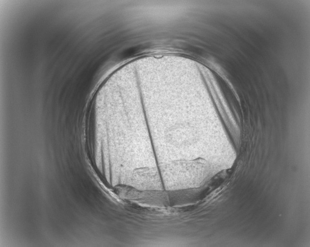 X0000053151195200508081402